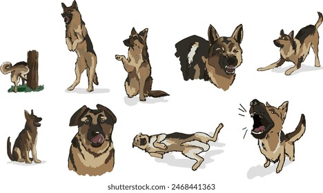 dog behaviours - german shepherd, digitally hand drawn