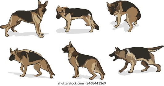 dog behaviours - german shepherd, digitally hand drawn