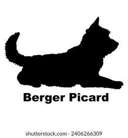 Dog Berger Picard silhouette Breeds Bundle Dogs on the move. Dogs in different poses.
The dog jumps, the dog runs. The dog is sitting lying down playing
