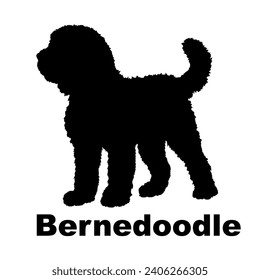 Dog Bernedoodle silhouette Breeds Bundle Dogs on the move. Dogs in different poses.
The dog jumps, the dog runs. The dog is sitting lying down playing
