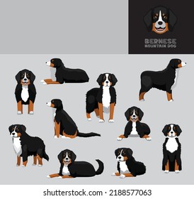 Dog Bernese Mountain Dog Cartoon Vector Illustration Color Variation Set