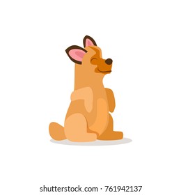 ?orgi dog with big straight ears and cute face sits on hind legs isolated cartoon flat vector illustration on white background. Friendly and loyal domestic animal.