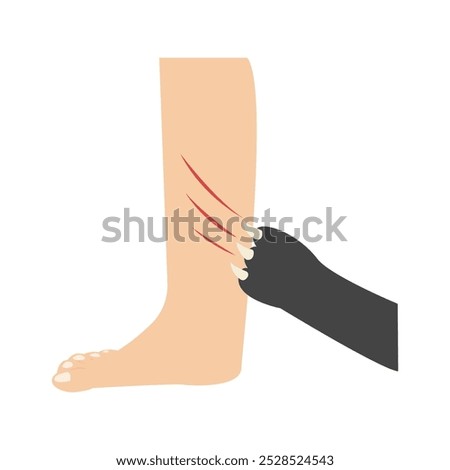 dog bite lick and scratch. rabies vaccine prevention