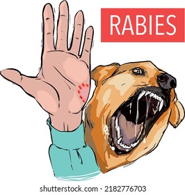 Dog Bite, Sick Animal, The Rabies Virus