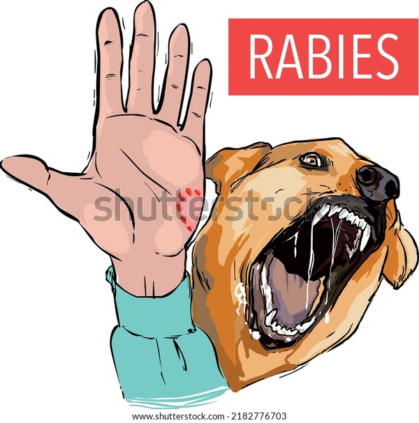 Dog bite, sick\
animal, the rabies virus