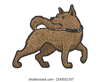 dog bites its tail color sketch engraving vector illustration. T-shirt apparel print design. Scratch board imitation. Black and white hand drawn image.