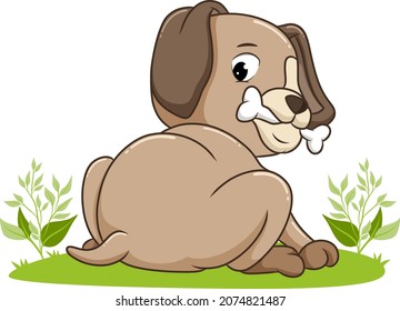 The dog is bitting the bone of illustration