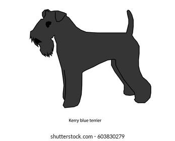 Dog black vector illustration isolated