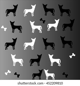 The dog in black and white tone background 