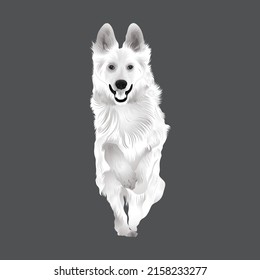 Dog Black and White vector Design with Dark Grey Color Background