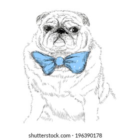Dog with blue bow