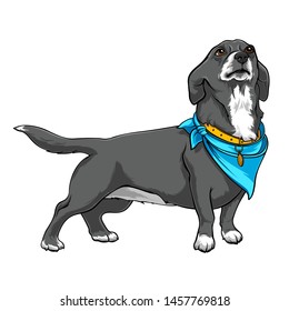 Dog with a blue handkerchief on the neck. Dog with a collar. A devoted dog looks up at the host. Stock Vector illustrations
