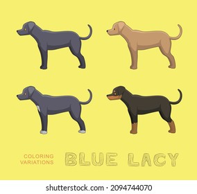 Dog Blue Lacy Coloring Variations Cartoon Vector Illustration