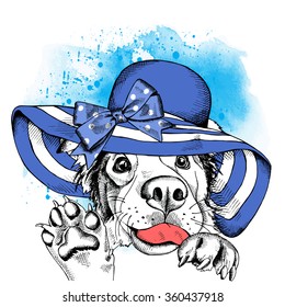 Dog in a blue summer hat with bow. Vector illustration.