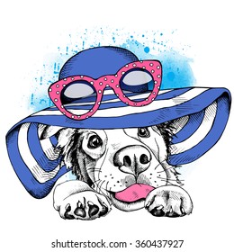 Dog in a blue summer hat with glasses. Vector illustration.