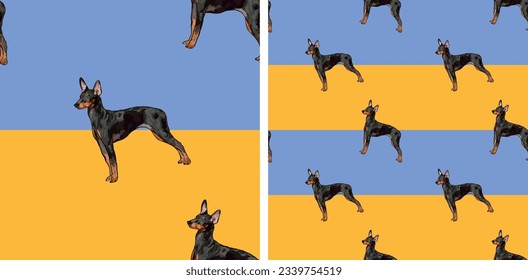 Dog blue and yellow geometric pattern fabric. Elegant, soft seamless background, abstract background with English toy terrier, two-colored background. Birthday present, Clean style, plain wrapping art