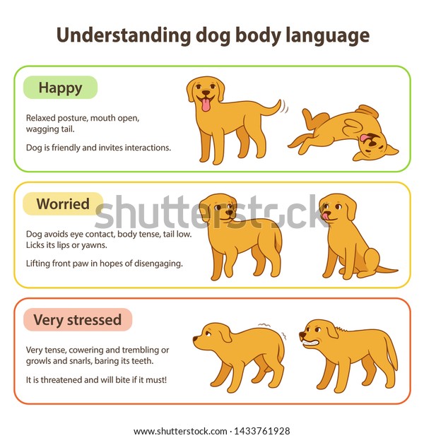 Dog Posture Chart