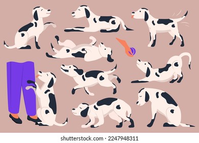 Dog body language set concept without people scene in the flat cartoon style. Image of a large number of Dalmatian dogs. Vector illustration.