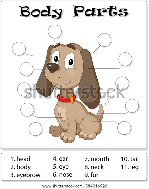 Dog body parts. Animal anatomy in English.\
Write the correct numbers of body parts\
