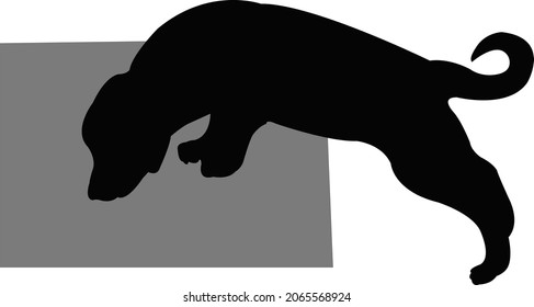 a dog body silhouette vector