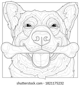 Dog with a bone in its mouth.Corgi.Coloring book antistress for children and adults. Illustration isolated on white background.Black and white drawing.Zen-tangle style.