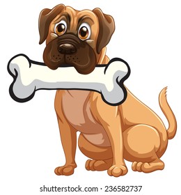 A dog with a bone on a white background