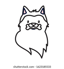 dog with bone pet cartoon design vector illustration