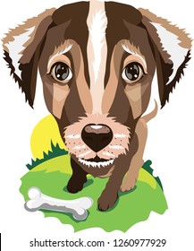 a dog with a bone, terrier on the nature, vector