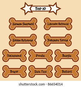 Dog Bone Treats for 10 most popular dog breeds: Shih Tzu, Poodle, Dachshund, Boxer, Bulldog, Golden Retriever, Beagle, Yorkshire Terrier, German Shepherd, Labrador Retriever. EPS10 compatible.