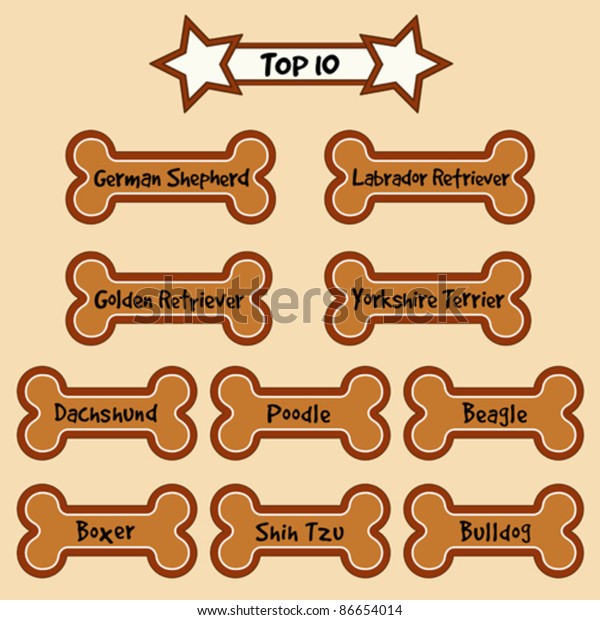 Dog Bone Treats 10 Most Popular Stock Vector (Royalty Free) 86654014