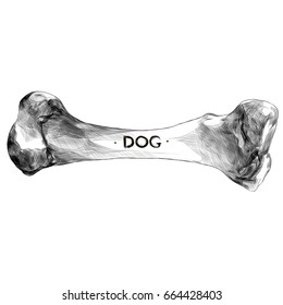 dog bone with the words "dog" sketch vector graphics black and white drawing