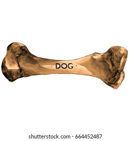 dog bone with the words "dog" sketch vector graphics color picture