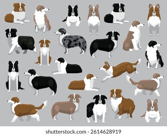 Dog Border Collie Various Colors Poses Cartoon Vector Character