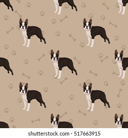 Dog boston terrier seamless pattern colorful with foot prints and bones