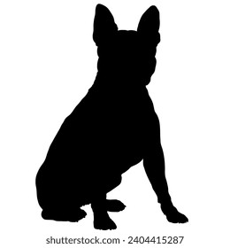 La silueta sentada de Perro Boston Terrier hace que los perros se muevan. Perros en diferentes poses.
El perro salta, el perro corre. El perro está sentado tumbado, está jugando.
