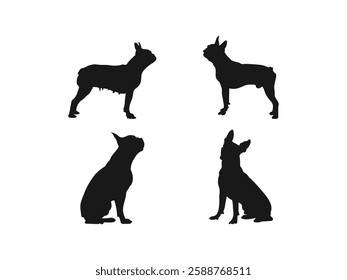 Dog Boston Terrier sitting silhouette. Dogs in different poses. The dog jumps, the dog runs. Vector illustration. Minimal design, minimalist logo vector. Vector on a white background.