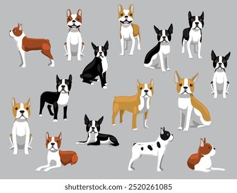 Dog Boston Terrier Various Colors Poses Cartoon Vector Character