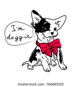 Dog with bow isolated vector image