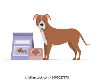 dog with bowl and pet food on white background