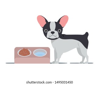 dog with bowl and pet food on white background