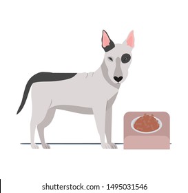 dog with bowl and pet food on white background