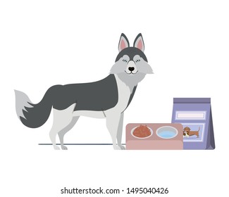 dog with bowl and pet food on white background