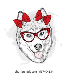 Dog with bows. Vector illustration. Cute Husky.