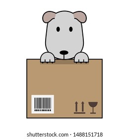 dog in the box, cartoon style, vector illustraion 
