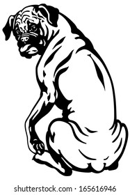 dog boxer breed, black and white illustration