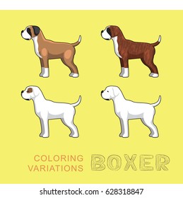 Dog Boxer Coloring Variations Vector Illustration