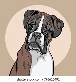 Dog boxer. Illustration