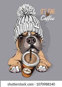 Dog Boxer in a knitted cap with pompom and coffee to go. Vector illustration.