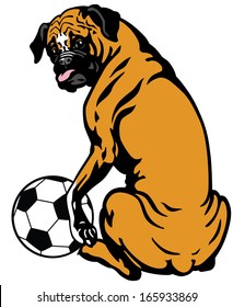 dog boxer with soccer ball, illustration isolated on white background 