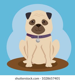 dog bred pet friendly